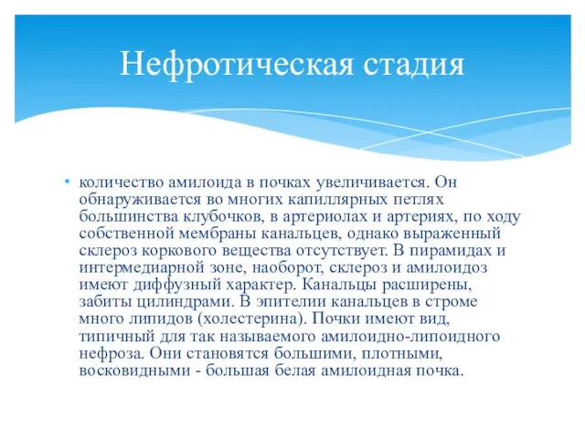 количество амилоида в почках увеличивается. Он обнаруживается во многих капиллярных петлях