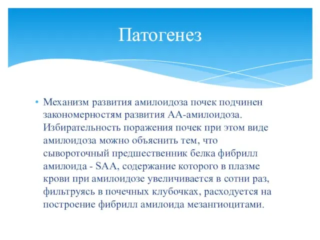 Механизм развития амилоидоза почек подчинен закономерностям развития АА-амилоидоза. Избирательность поражения почек