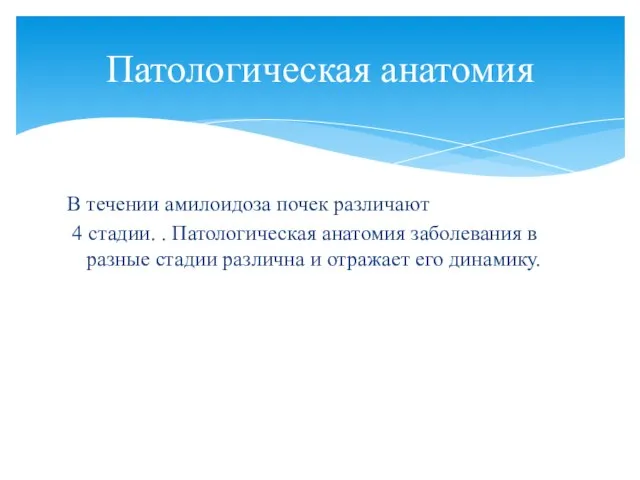 В течении амилоидоза почек различают 4 стадии. . Патологическая анатомия заболевания