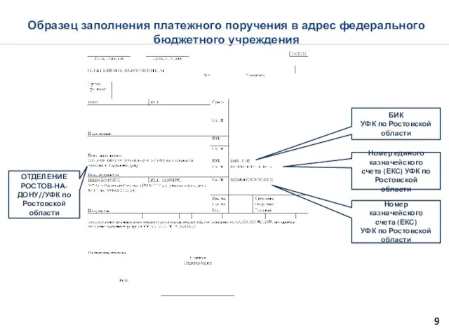 Образец заполнения платежного поручения в адрес федерального бюджетного учреждения 9 БИК