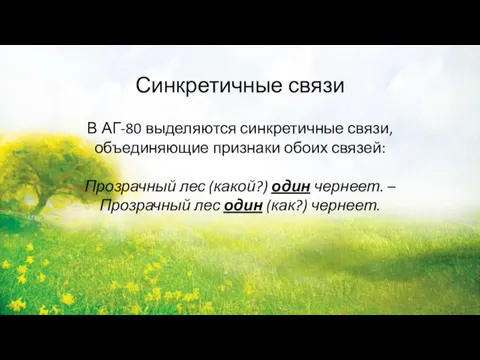 Синкретичные связи В АГ-80 выделяются синкретичные связи, объединяющие признаки обоих связей: