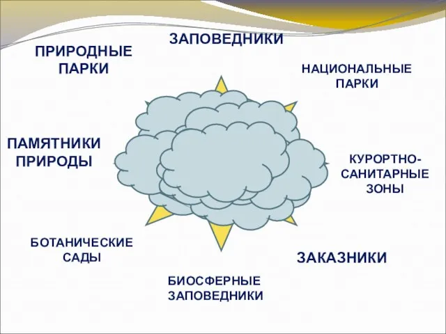 ООПТ ЗАПОВЕДНИКИ БИОСФЕРНЫЕ ЗАПОВЕДНИКИ НАЦИОНАЛЬНЫЕ ПАРКИ ПРИРОДНЫЕ ПАРКИ ПАМЯТНИКИ ПРИРОДЫ КУРОРТНО-САНИТАРНЫЕ ЗОНЫ ЗАКАЗНИКИ БОТАНИЧЕСКИЕ САДЫ