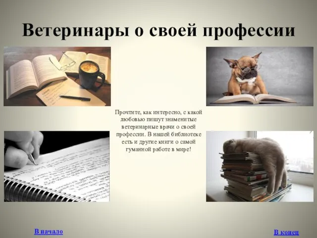 Ветеринары о своей профессии Прочтите, как интересно, с какой любовью пишут