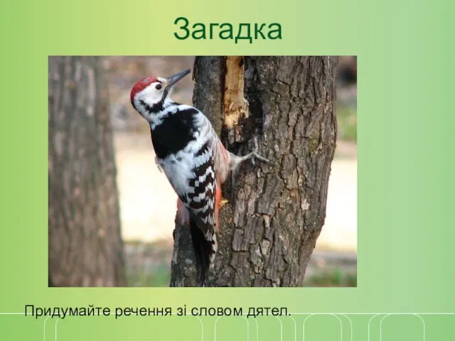 Загадка Придумайте речення зі словом дятел.