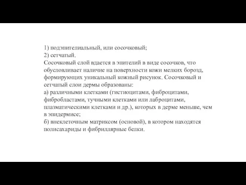 1) подэпителиальный, или сосочковый; 2) сетчатый. Сосочковый слой вдается в эпителий