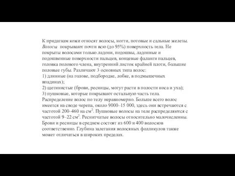 К придаткам кожи относят волосы, ногти, потовые и сальные железы. Волосы