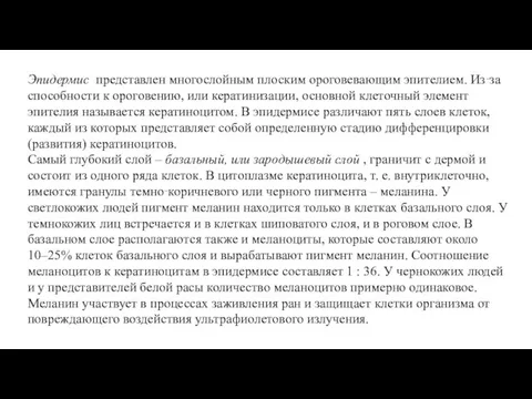 Эпидермис представлен многослойным плоским ороговевающим эпителием. Из‑за способности к ороговению, или