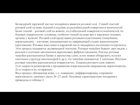 Безъядерной наружной частью эпидермиса является роговой слой . Самый толстый роговой