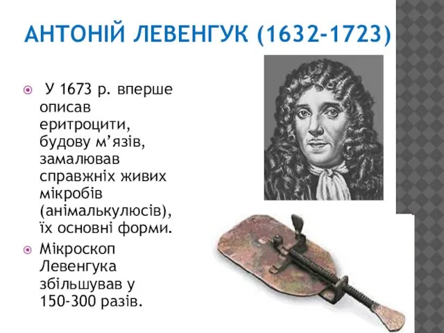 АНТОНІЙ ЛЕВЕНГУК (1632-1723) У 1673 р. вперше описав еритроцити, будову м’язів,