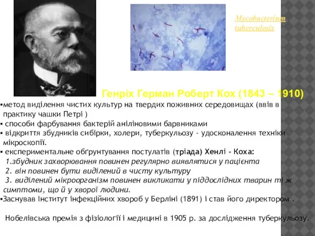 Mycobacterium tuberculosis Генріх Герман Роберт Кох (1843 – 1910) метод виділення