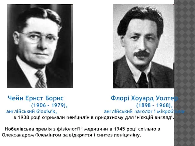 . Чейн Ернст Борис Флорі Хоуард Уолтер (1906 - 1979), (1898