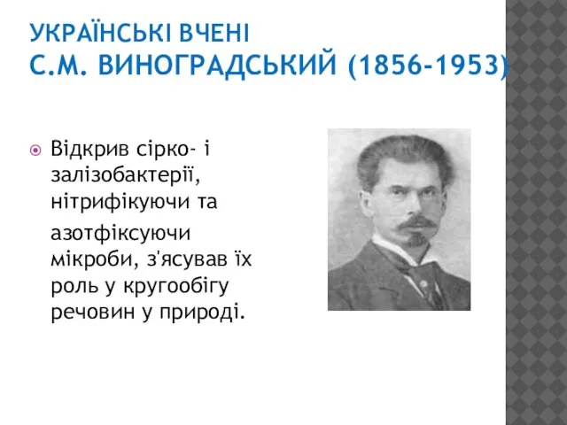 УКРАЇНСЬКІ ВЧЕНІ С.М. ВИНОГРАДСЬКИЙ (1856-1953) Відкрив сірко- і залізобактерії, нітрифікуючи та