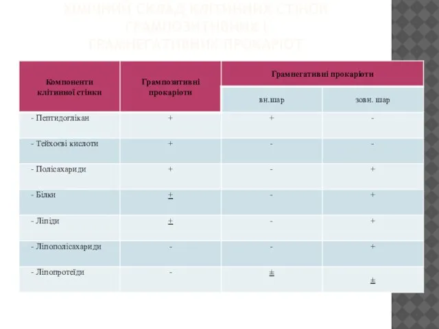 ХІМІЧНИЙ СКЛАД КЛІТИННИХ СТІНОК ГРАМПОЗИТИВНИХ І ГРАМНЕГАТИВНИХ ПРОКАРІОТ