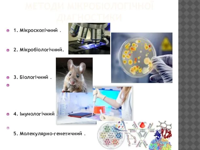 МЕТОДИ МІКРОБІОЛОГІЧНОЇ ДІАГНОСТИКИ 1. Мікроскопічний . 2. Мікробіологічний. 3. Біологічний .