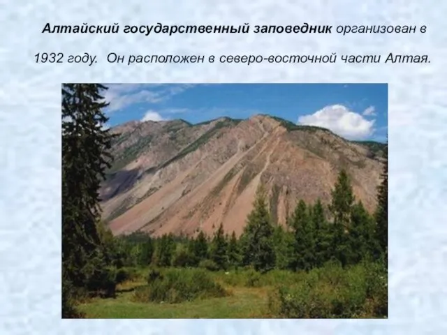 Алтайский государственный заповедник организован в 1932 году. Он расположен в северо-восточной части Алтая.