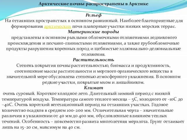 Арктические почвы распространены в Арктике Рельеф На оттаявших пространствах в основном