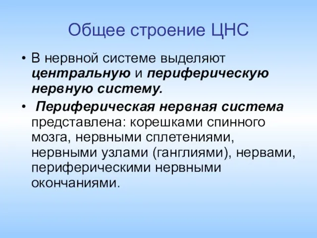 Общее строение ЦНС В нервной системе выделяют центральную и периферическую нервную