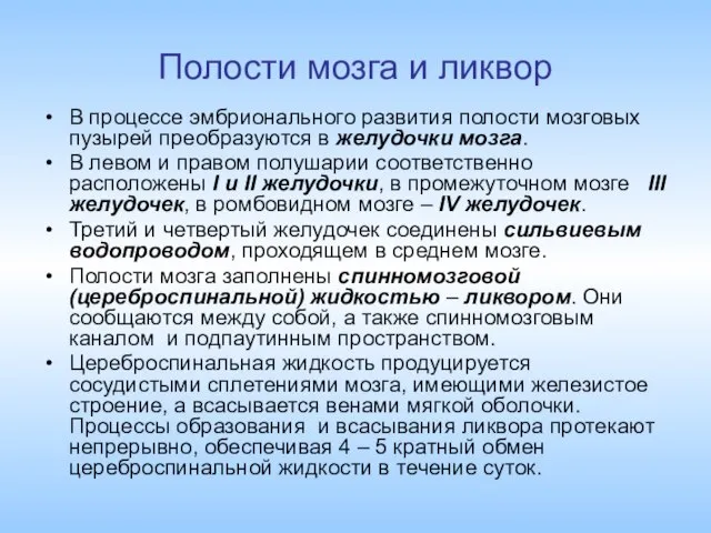 Полости мозга и ликвор В процессе эмбрионального развития полости мозговых пузырей