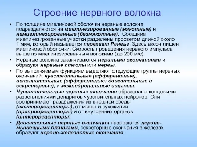 Строение нервного волокна По толщине миелиновой оболочки нервные волокна подразделяются на