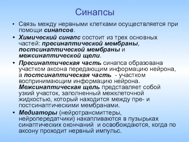 Синапсы Связь между нервными клетками осуществляется при помощи синапсов. Химический синапс