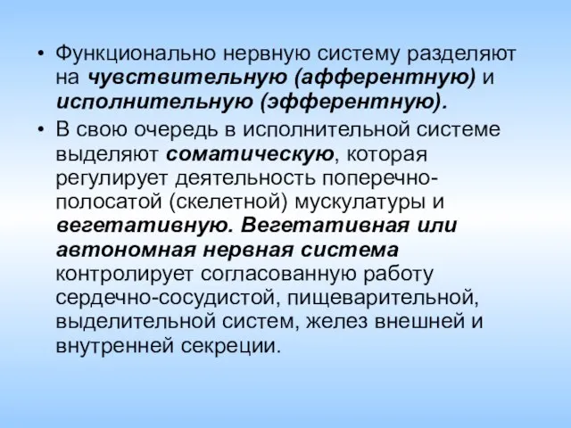 Функционально нервную систему разделяют на чувствительную (афферентную) и исполнительную (эфферентную). В