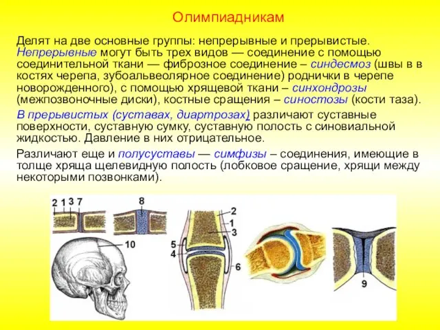 Делят на две основные группы: непрерывные и прерывистые. Непрерывные могут быть