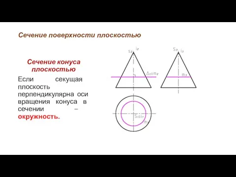 Сечение поверхности плоскостью Сечение конуса плоскостью Если секущая плоскость перпендикулярна оси