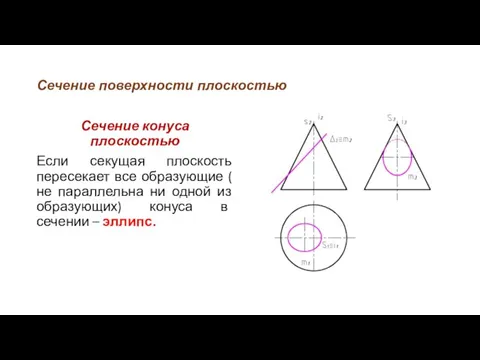 Сечение поверхности плоскостью Сечение конуса плоскостью Если секущая плоскость пересекает все