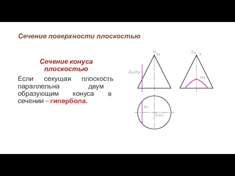 Сечение поверхности плоскостью Сечение конуса плоскостью Если секущая плоскость параллельна двум