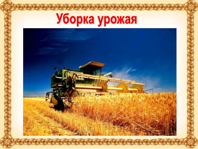 Уборка урожая