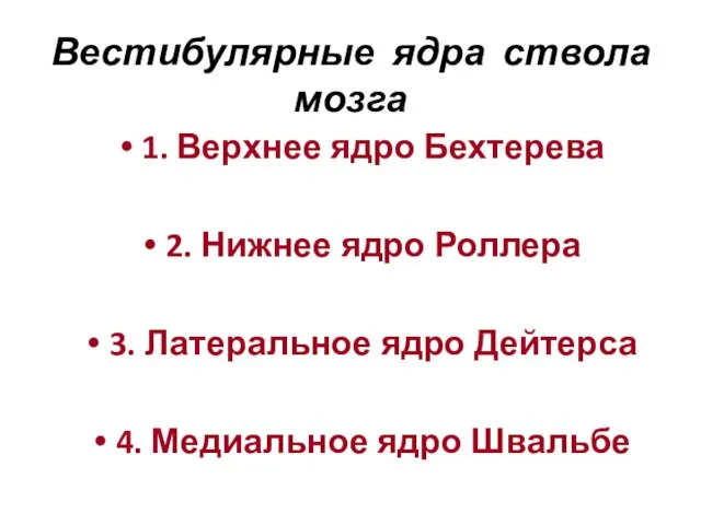 Вестибулярные ядра ствола мозга 1. Верхнее ядро Бехтерева 2. Нижнее ядро