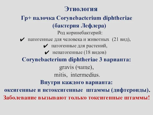 Этиология Гр+ палочка Corynebacterium diphtheriae (бактерия Лефлера) Род коринебактерий: патогенные для