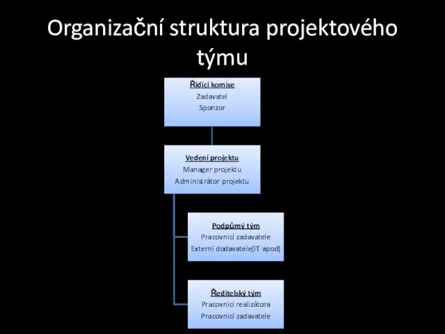 Organizační struktura projektového týmu