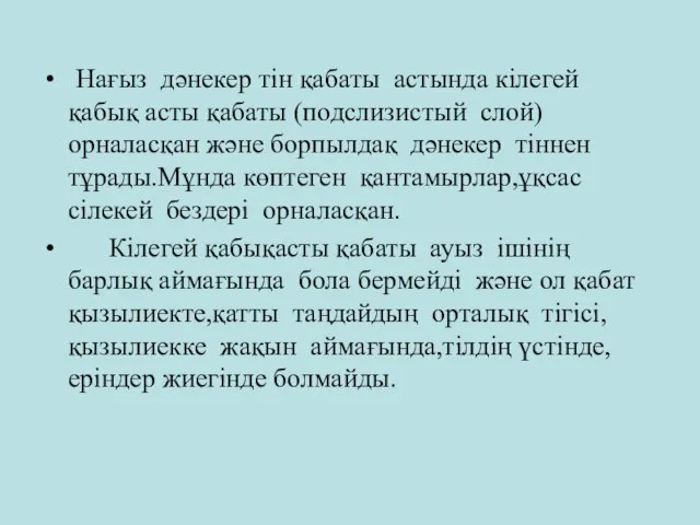 Нағыз дәнекер тін қабаты астында кілегей қабық асты қабаты (подслизистый слой)