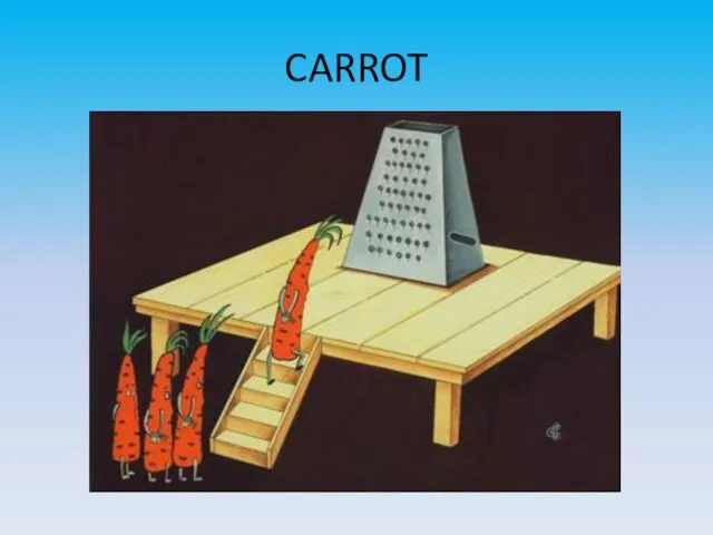 CARROT