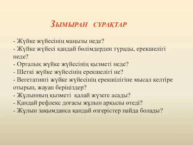 Зымыран сұрақтар - Жүйке жүйесінің маңызы неде? - Жүйке жүйесі қандай