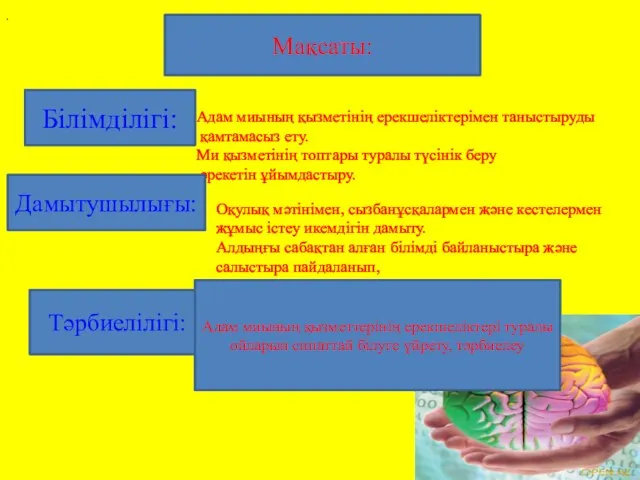 . Адам миының қызметінің ерекшеліктерімен таныстыруды қамтамасыз ету. Ми қызметінің топтары