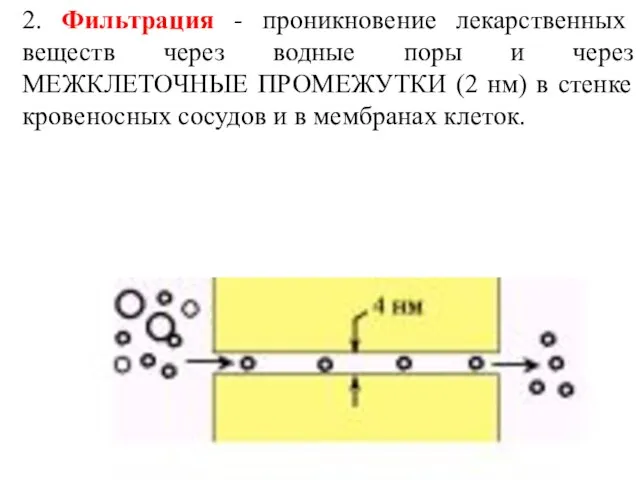 2. Фильтрация - проникновение лекарственных веществ через водные поры и через