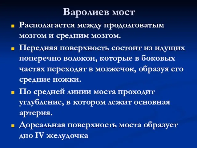 Варолиев мост Располагается между продолговатым мозгом и средним мозгом. Передняя поверхность