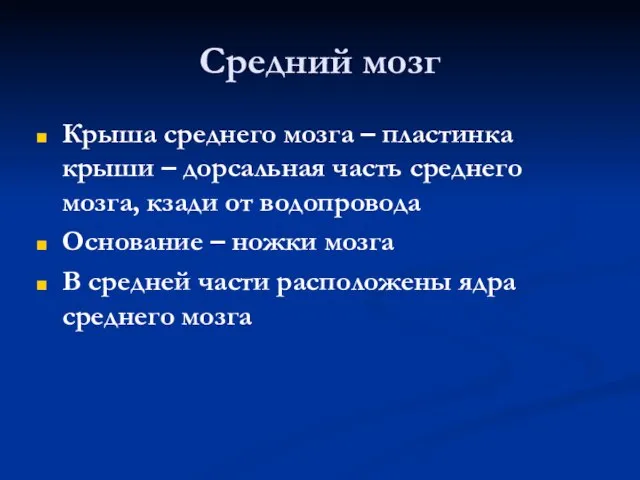 Средний мозг Крыша среднего мозга – пластинка крыши – дорсальная часть