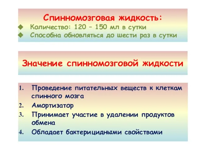 Значение спинномозговой жидкости Проведение питательных веществ к клеткам спинного мозга Амортизатор