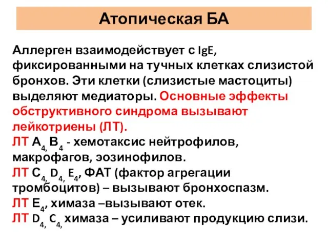 Атопическая БА Аллерген взаимодействует с IgE, фиксированными на тучных клетках слизистой