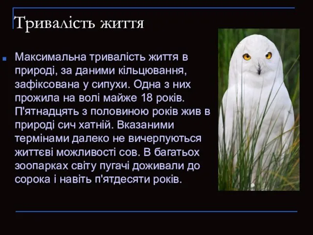 Тривалість життя Максимальна тривалість життя в природі, за даними кільцювання, зафіксована