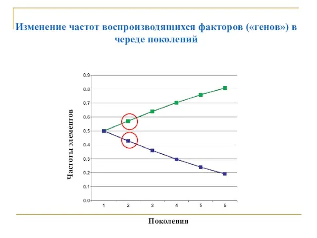 Поколения Частоты элементов Изменение частот воспроизводящихся факторов («генов») в череде поколений