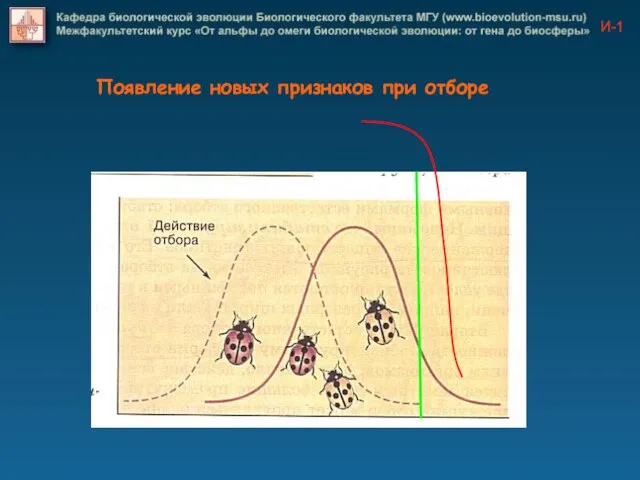 И-1 Появление новых признаков при отборе