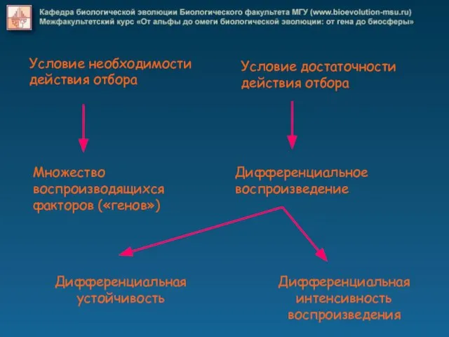 Условие необходимости действия отбора Множество воспроизводящихся факторов («генов») Условие достаточности действия