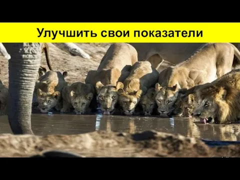 Улучшить свои показатели