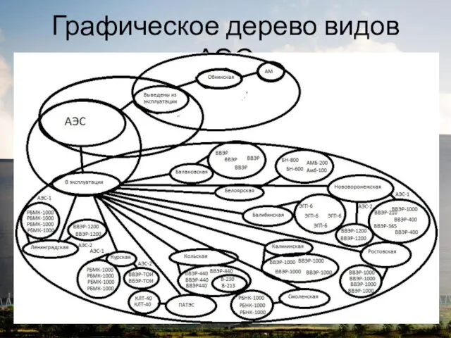 Графическое дерево видов АЭС