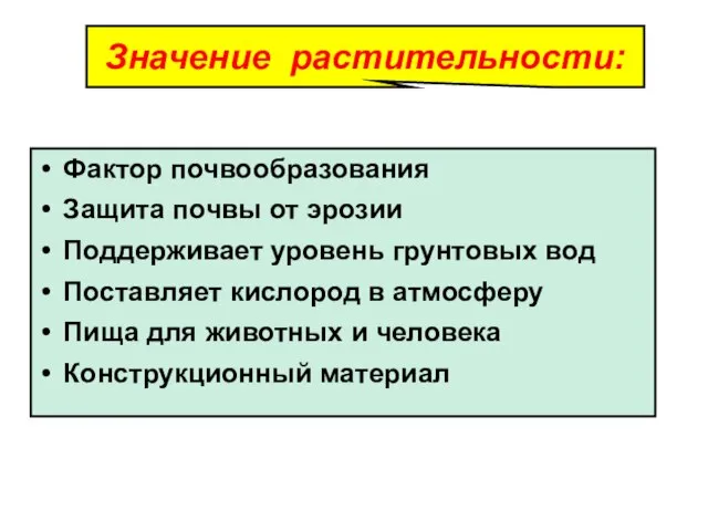 Значение растительности: Фактор почвообразования Защита почвы от эрозии Поддерживает уровень грунтовых