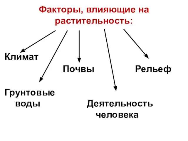 Факторы, влияющие на растительность: Климат Почвы Рельеф Грунтовые воды Деятельность человека